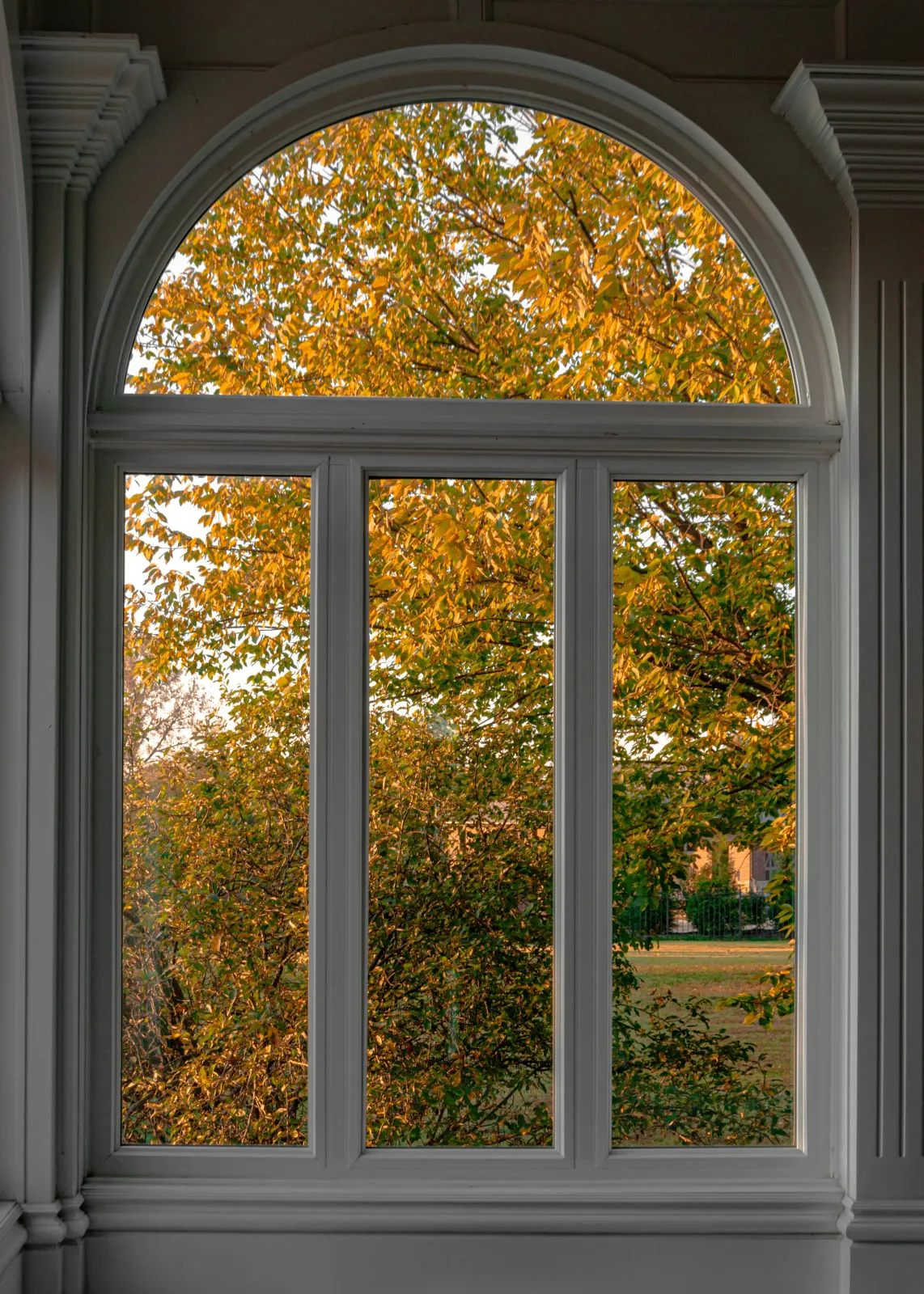 Windows Winnipeg — Retrofit Replacement