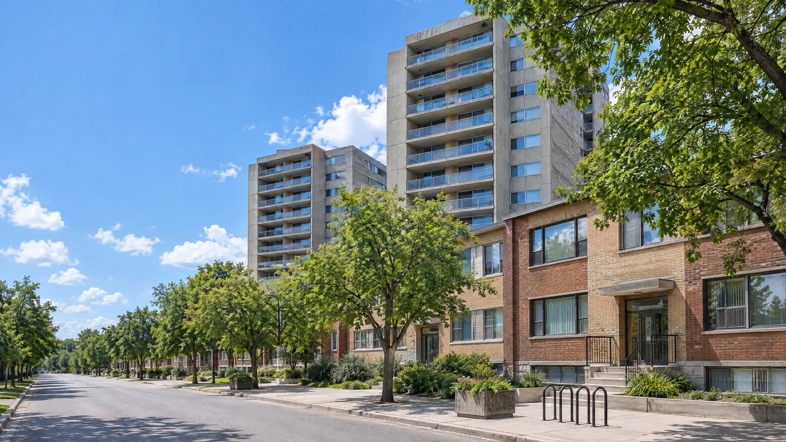 Concrete apartment towers with stacked balconies rising behind elm-lined walk-ups on a summer day